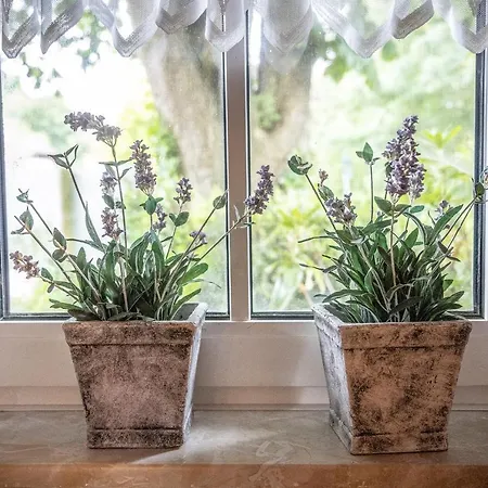 Апартаменты 50027